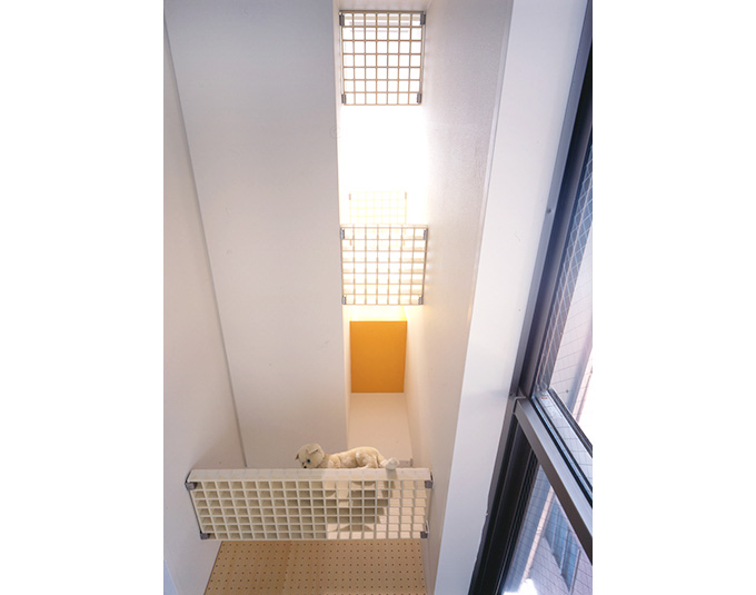 開放感を味わえるネコ専用吹抜