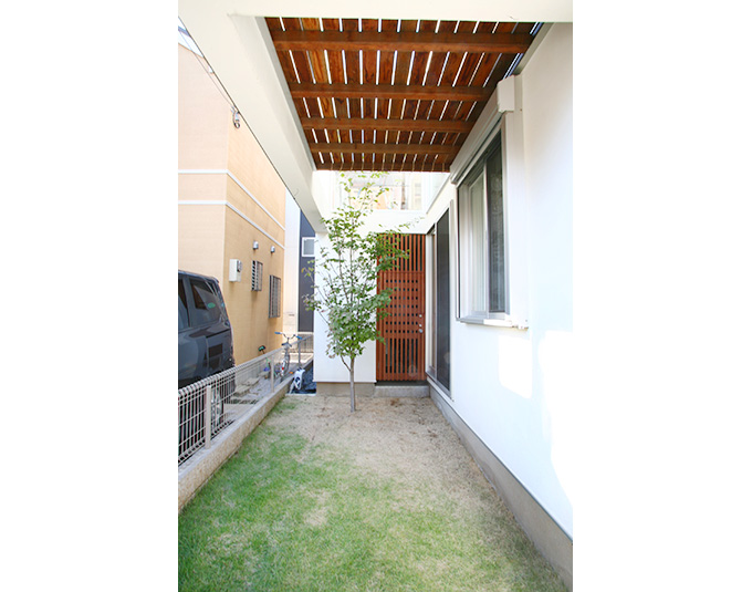 家族を見守るシンボルツリー