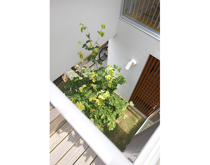 デッキから見下ろすシンボルツリー