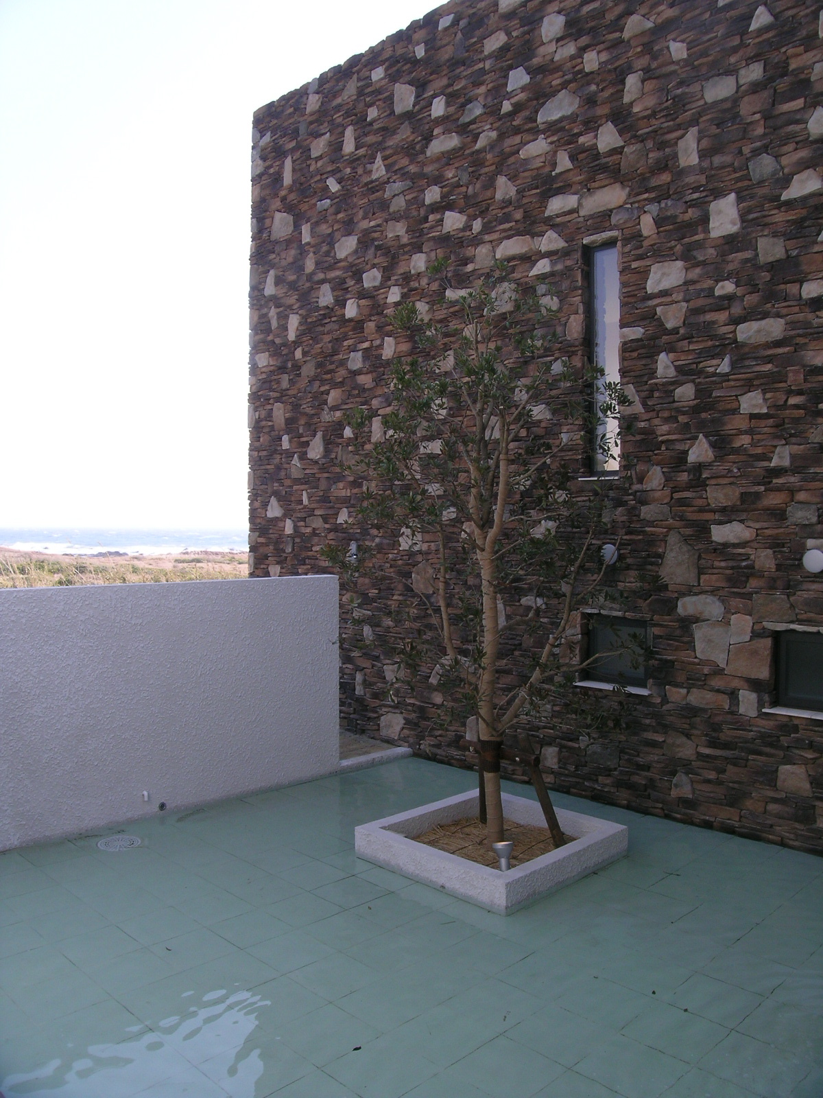 非日常の雰囲気が心地よい涼しげな水盤