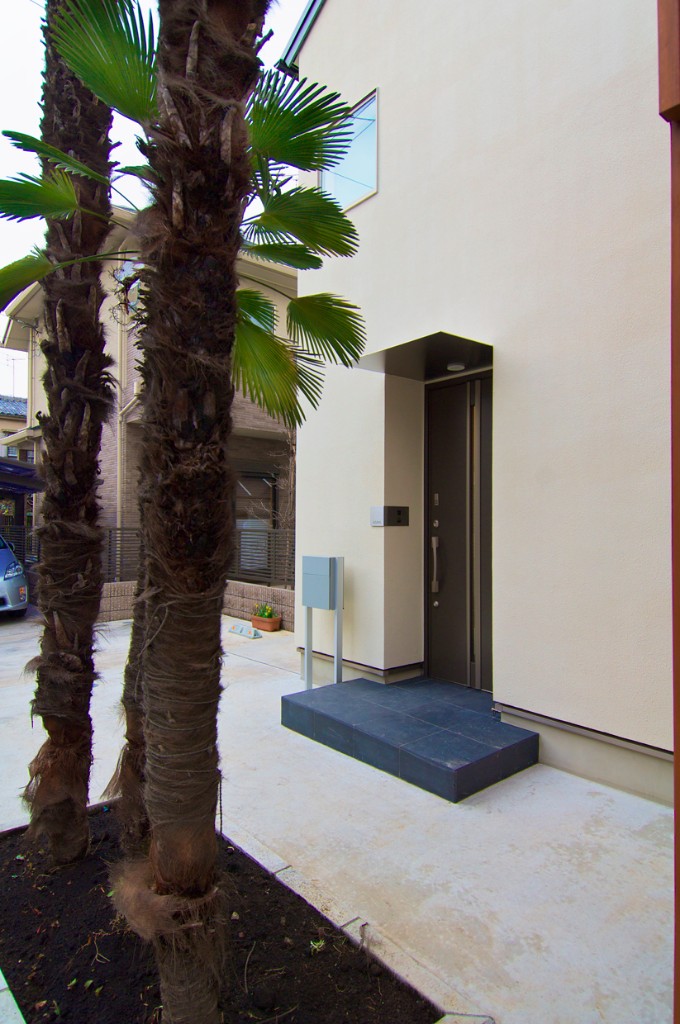 家を建てた記念に一緒に成長していくシンボルツリー