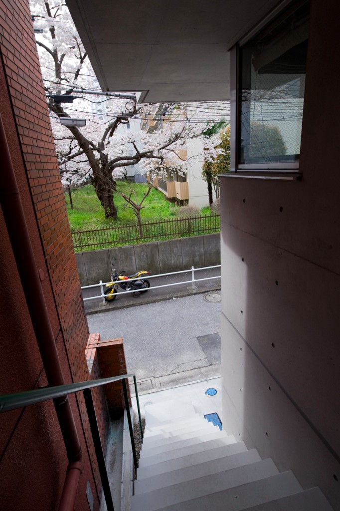 子世帯へ登る外階段からの眺め