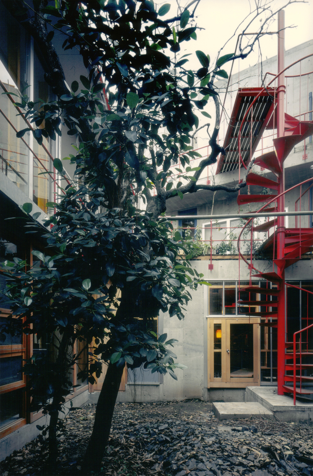 1階から2階の屋上まで続く真っ赤な螺旋階段