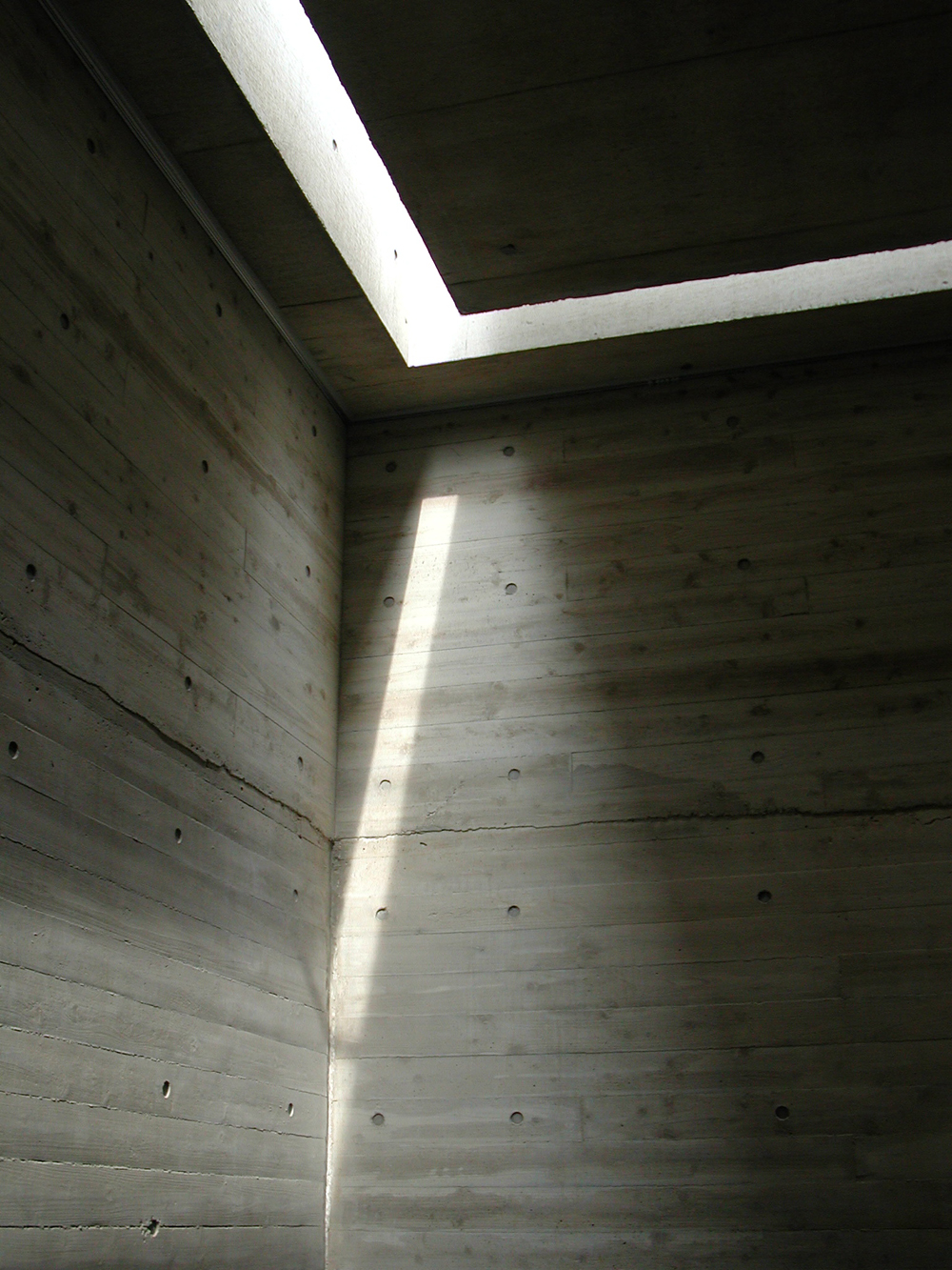 7メートルの天井からトップライトの明かりが落ちる