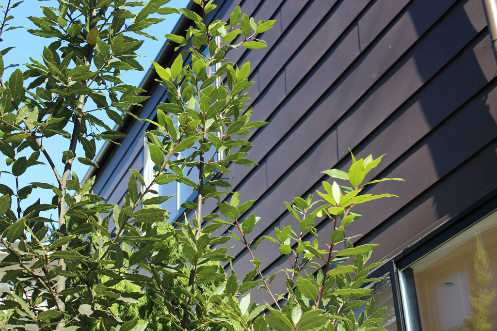 金沢文庫の家　外壁