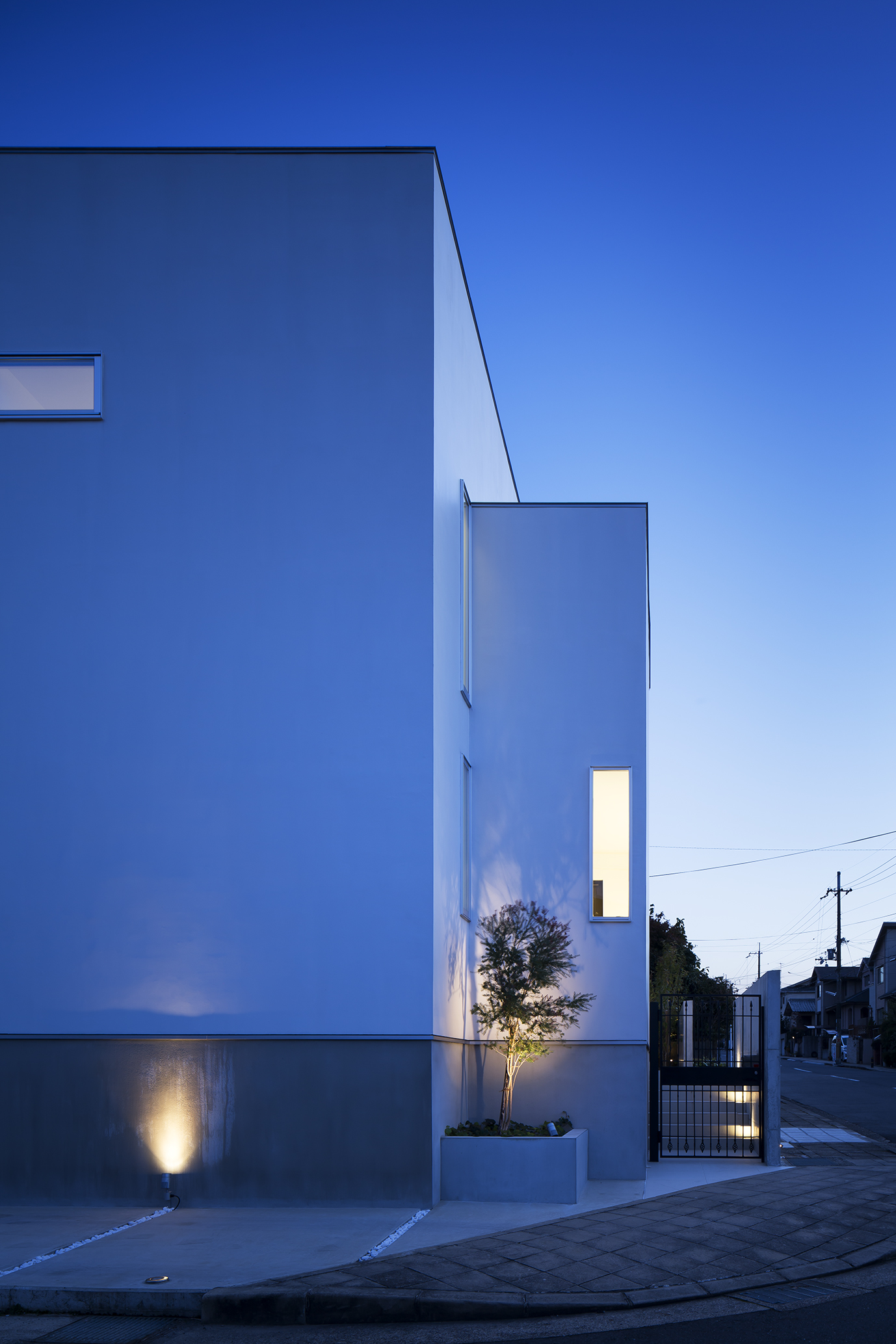 白い外壁に映える成長が楽しみなシンボルツリー