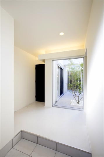 シンボルツリーを望む玄関