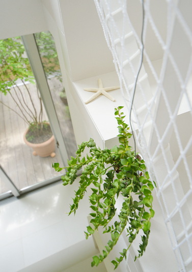 階段の上からもグリーンを飾って