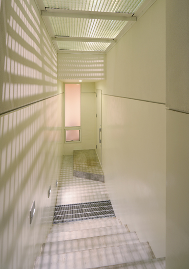 磨りガラスから光が入る地下階段