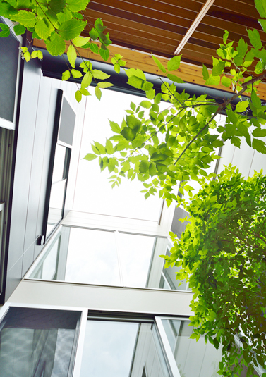 中庭から空を眺める