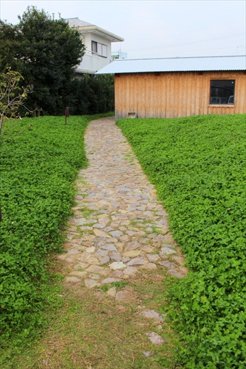 おとぎ話にでてくるようなクローバーの小道。