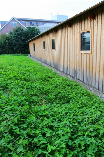 自然の中に佇む家