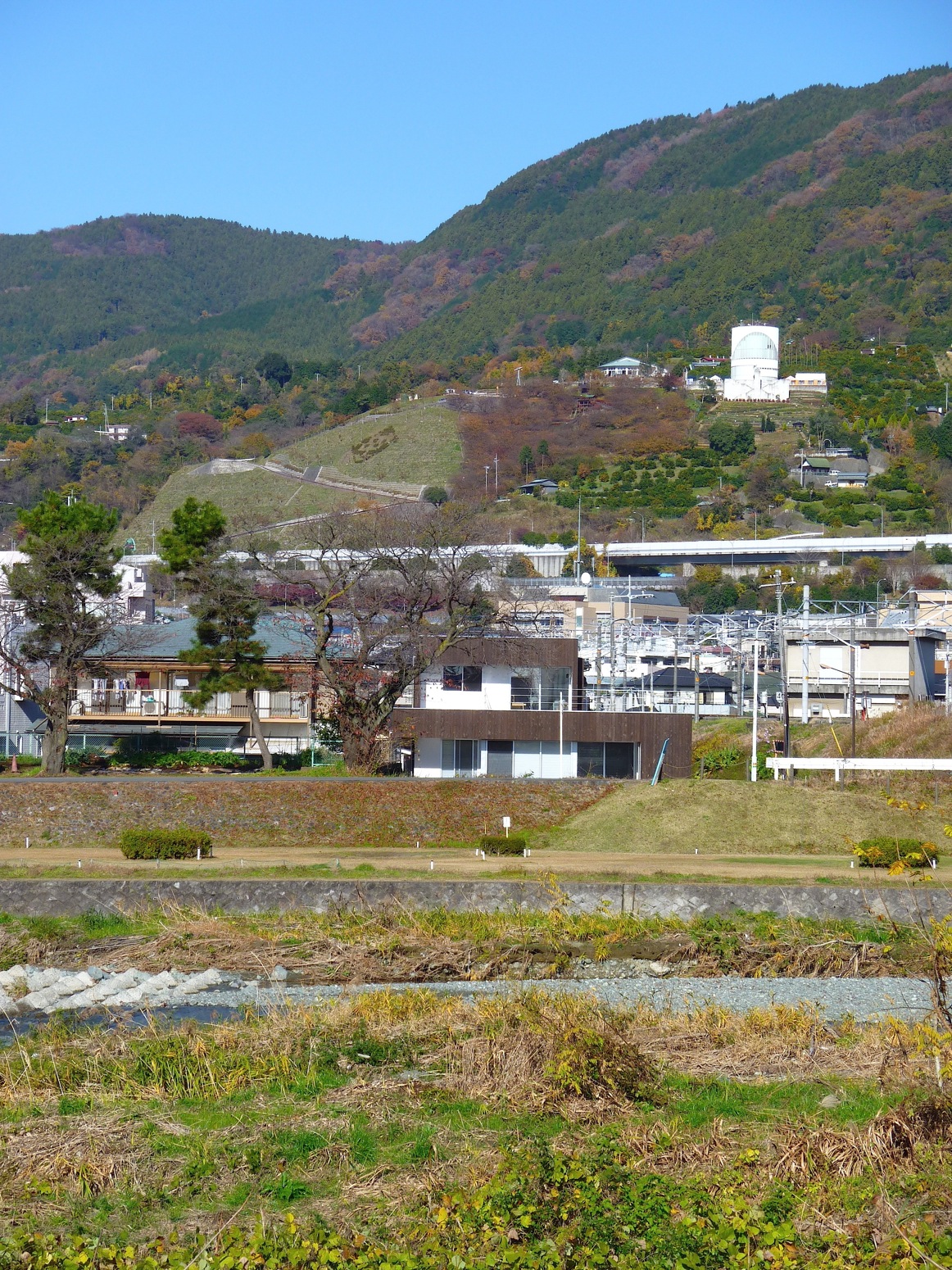 緑の中に置かれた、木箱のような住宅