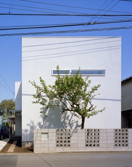 シンボルツリーが映える外観