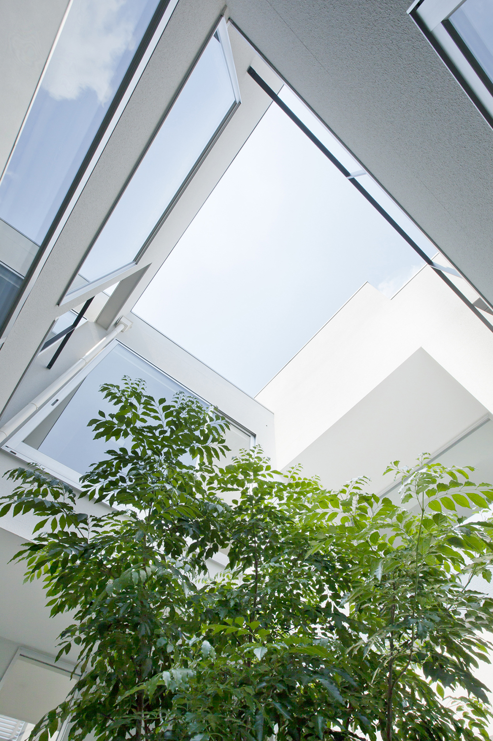 建築敷地に適した「箱」のボリュームから切り抜かれた中庭空間