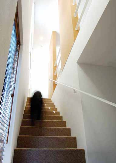 カーペットを敷いた階段