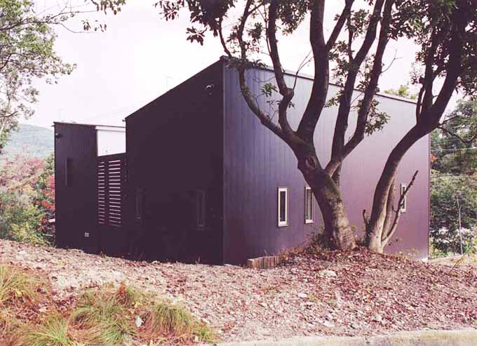 庭ととけ込む黒の外観