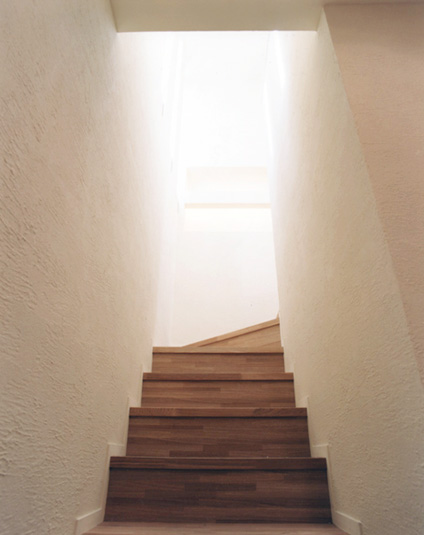 自然の光が降り注ぐ階段