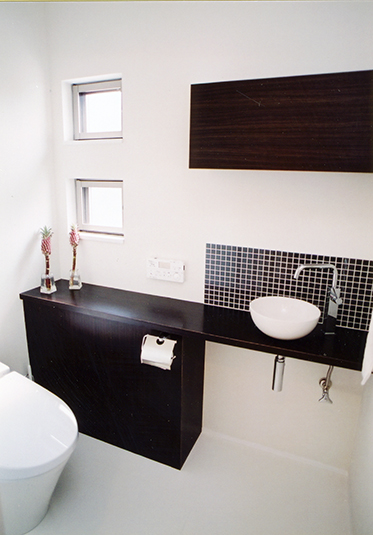 コントラストのシックなトイレ