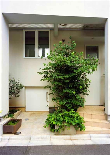 緑が出迎える玄関