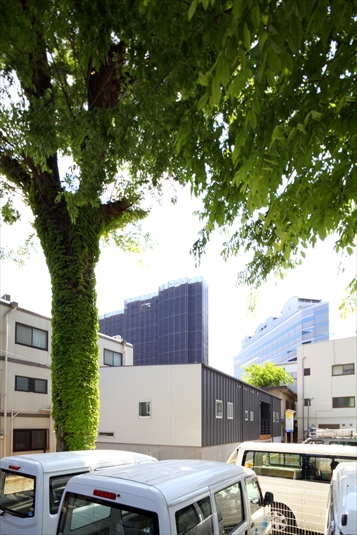 緑に包まれるような外観