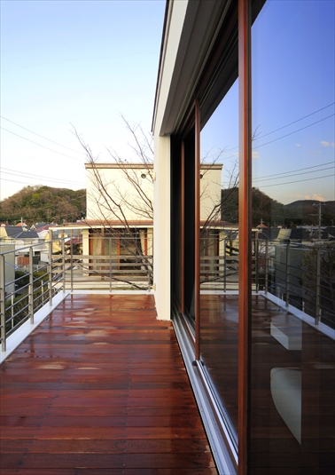 窓ガラスに映る植木