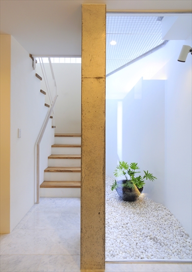 和みの鑑賞スペース