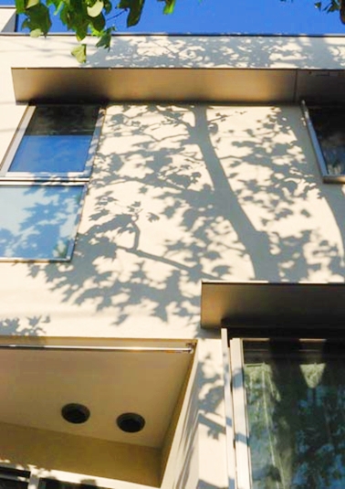 木陰がやさしく壁面を包む