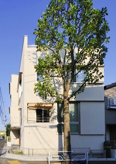 並木が外部からの視線を程よく遮る