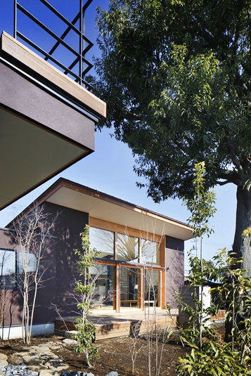 木々と共に住まう