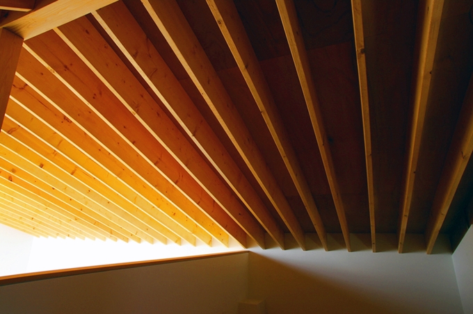 化粧垂木天井 Fevecasa フェブカーサ