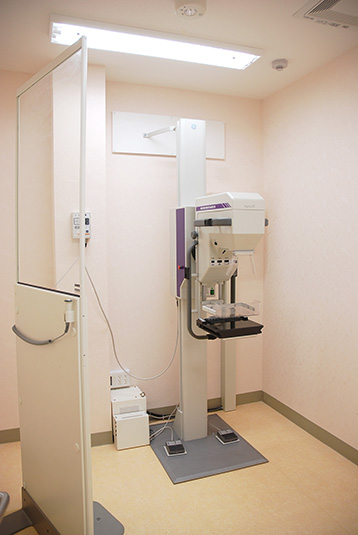 優しい色合いでまとめた室内