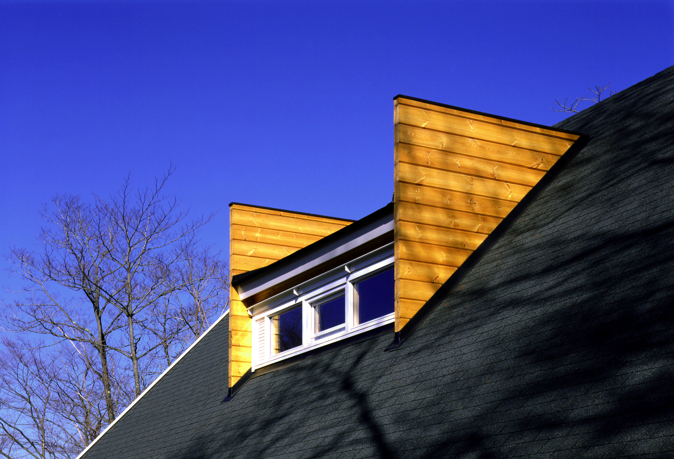 ドーマー窓を印象的な猫の耳のようにデザイン