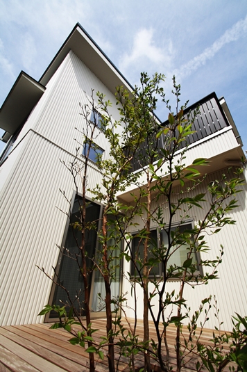 ヒメシャラのあるデッキテラス