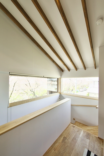 階段より北西の桜並木を眺める。