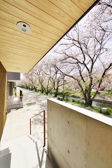 ポーチより：五条川と桜並木が建物に溶け込む。