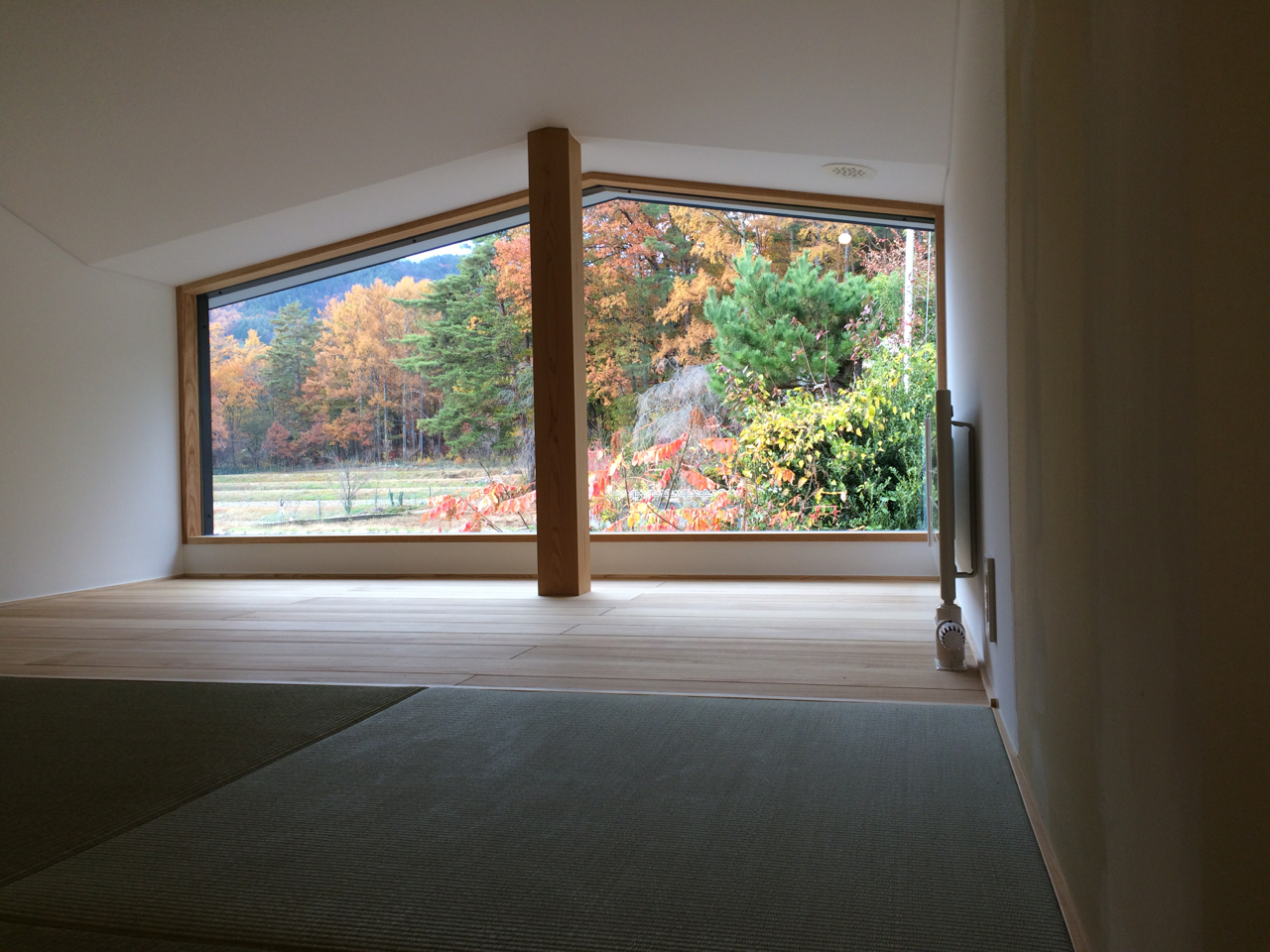 二階寝室より紅葉の森をみる