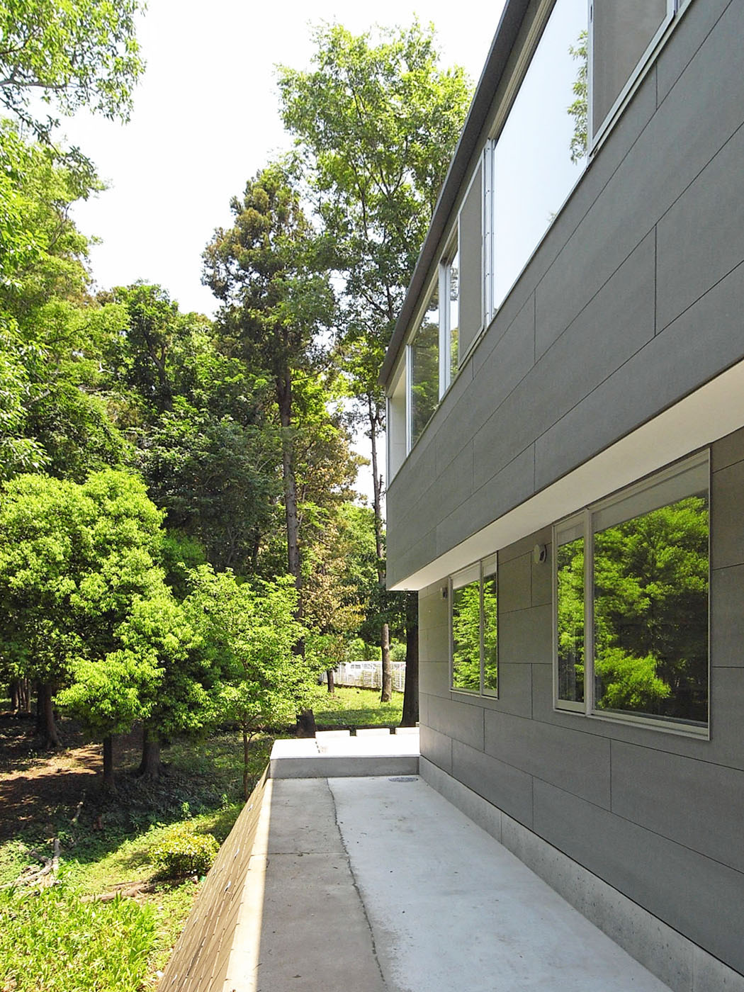 緑地に面した外観