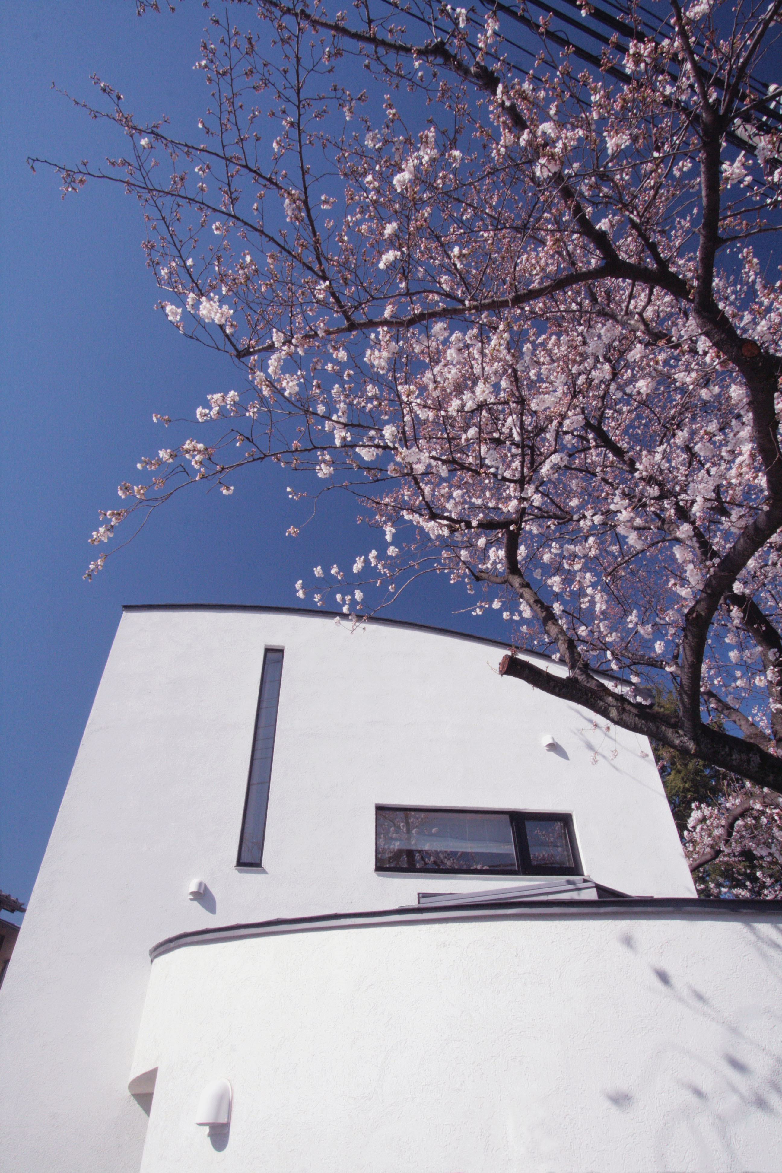 道路側外観（見上げ）