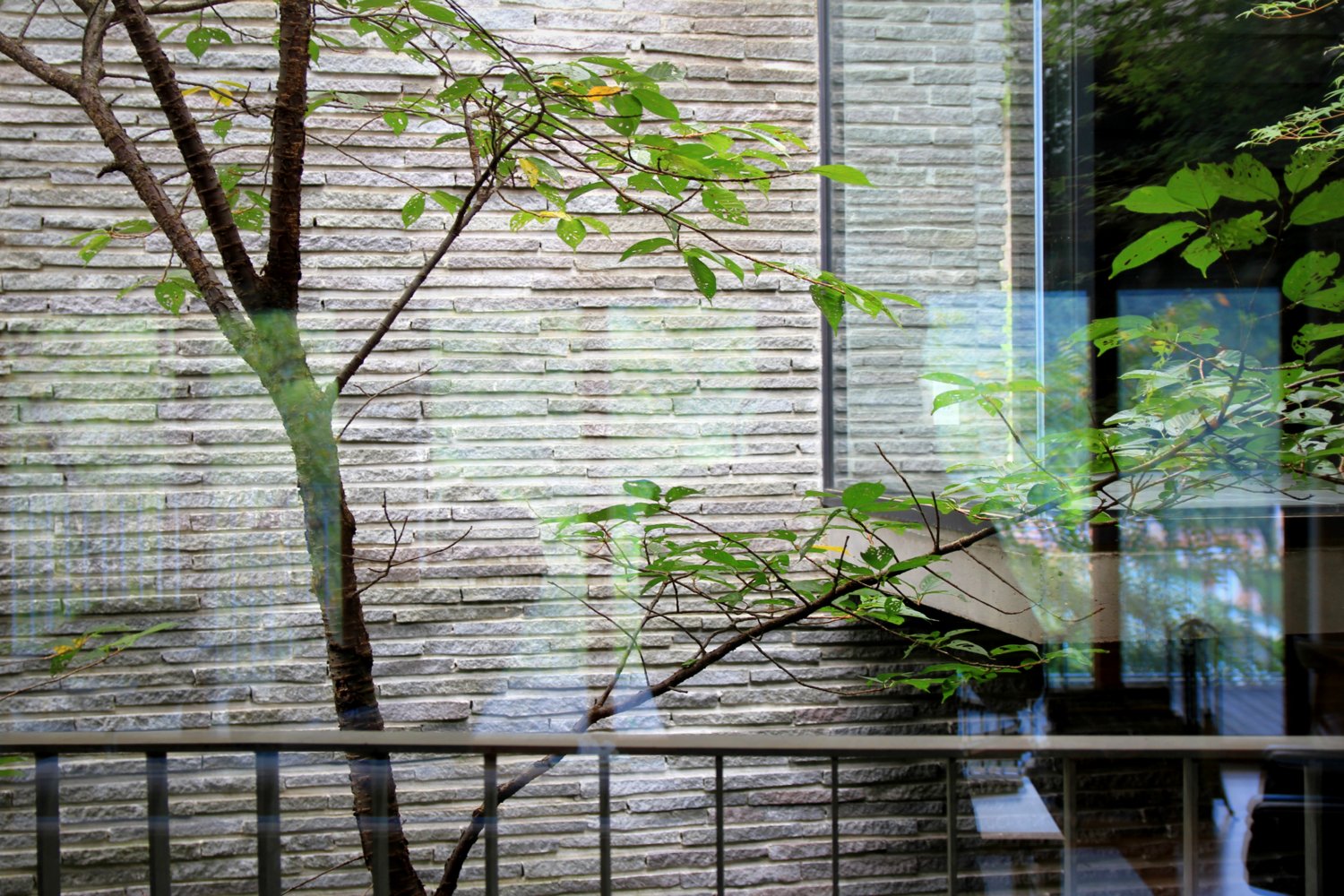 雷山の別荘｜ギャラリーから見た中庭の風景
