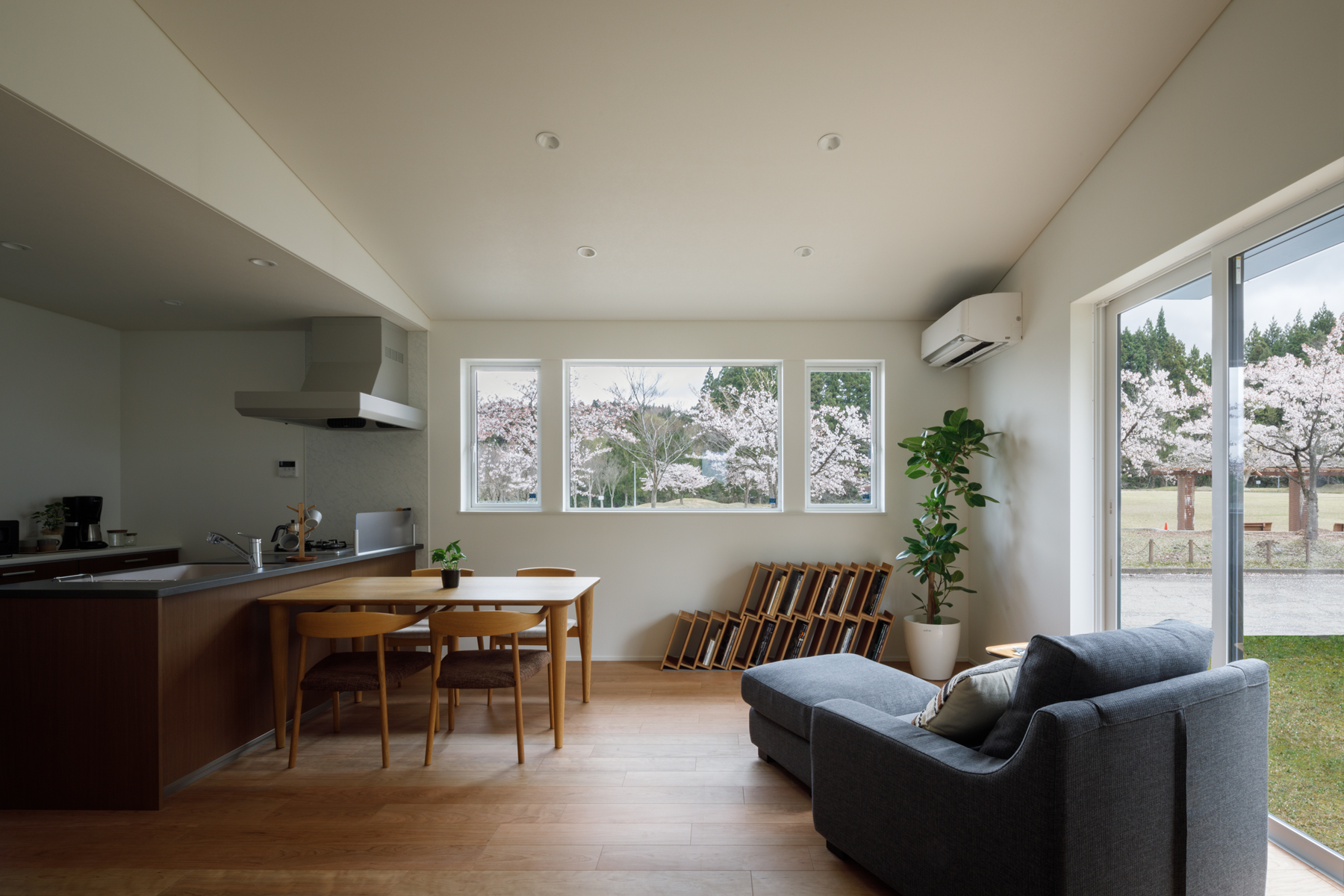 公園の桜を一望できる横長な開口を設けた約17帖のLDK。