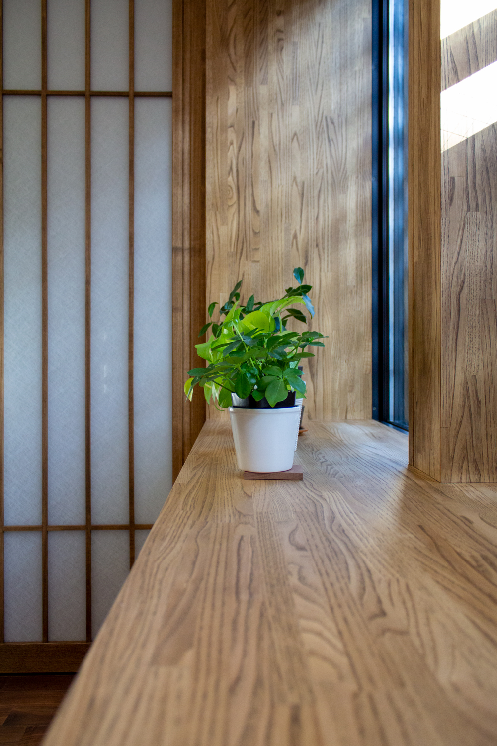 出窓がゆったりした場を生む、リビング「光をつかむ家（light fall house）」