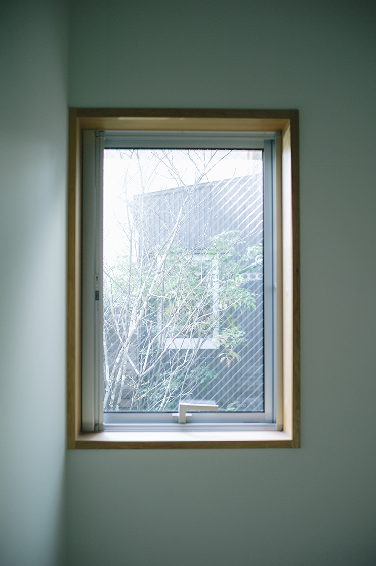 植栽が見える窓