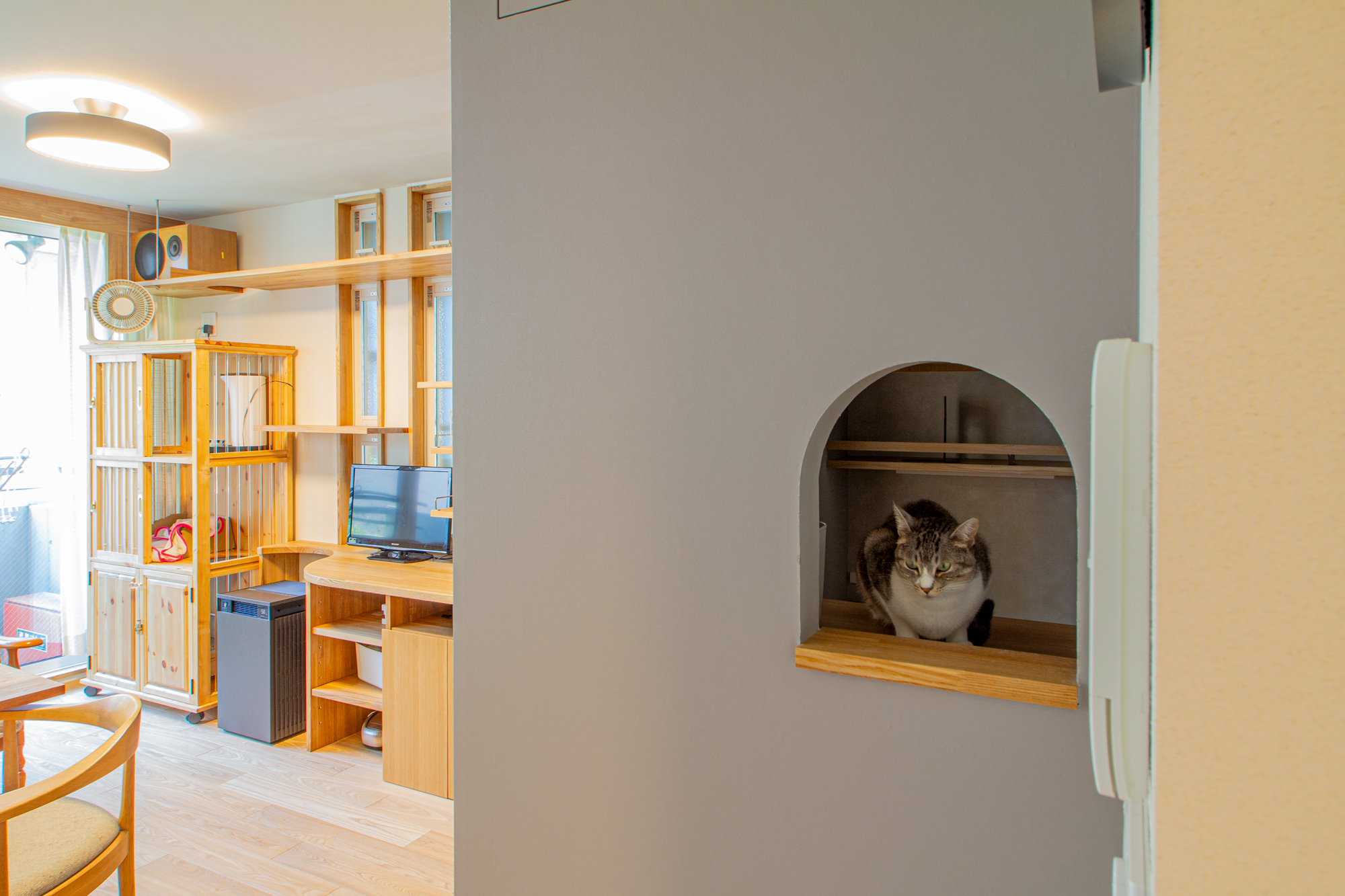 猫のための場所