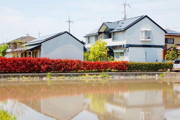居間棟と玄関棟の南側表情とソーラー