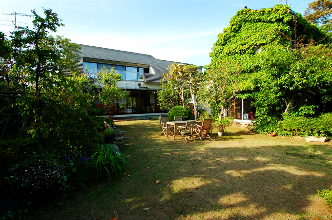 蔓植物で覆われた建物