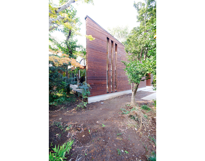 木立の中に建つ木の壁