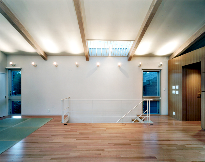 階段に光を落とすトップライト