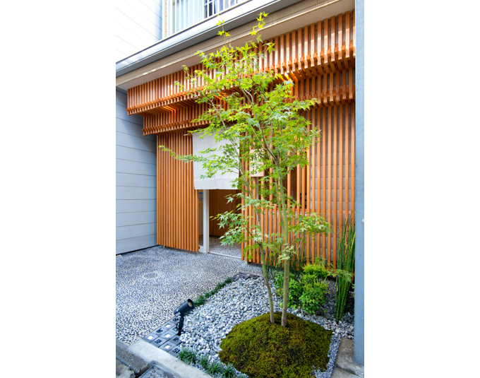 青もみじと苔の植栽