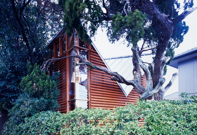 既存樹木と計画建物の共存